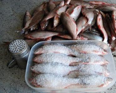 Как правильно сушить рыбу в домашних условиях