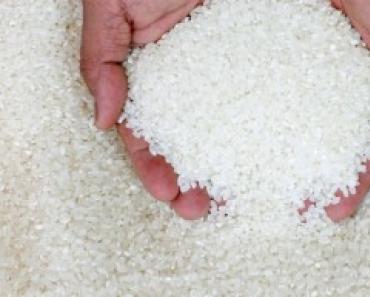 Рисовая диета для очищения организма от солей – просто и быстро Полезен ли несоленый вареный рис