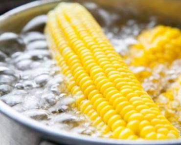 Кукуруза: как правильно варить, чтобы она была мягкой и сочной?